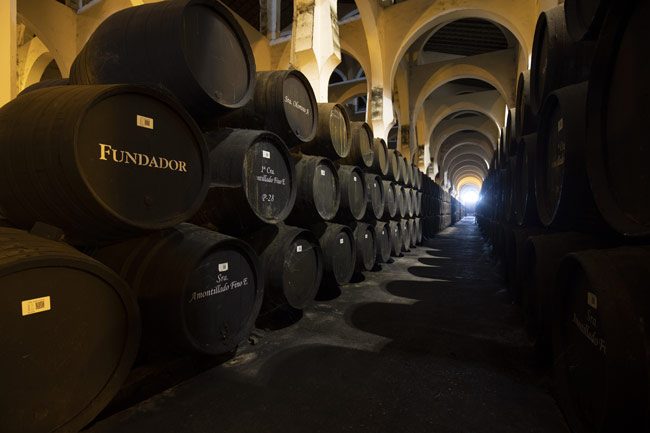 Tipos de vinos de Jerez utilizados para el envejecimiento del brandy 1