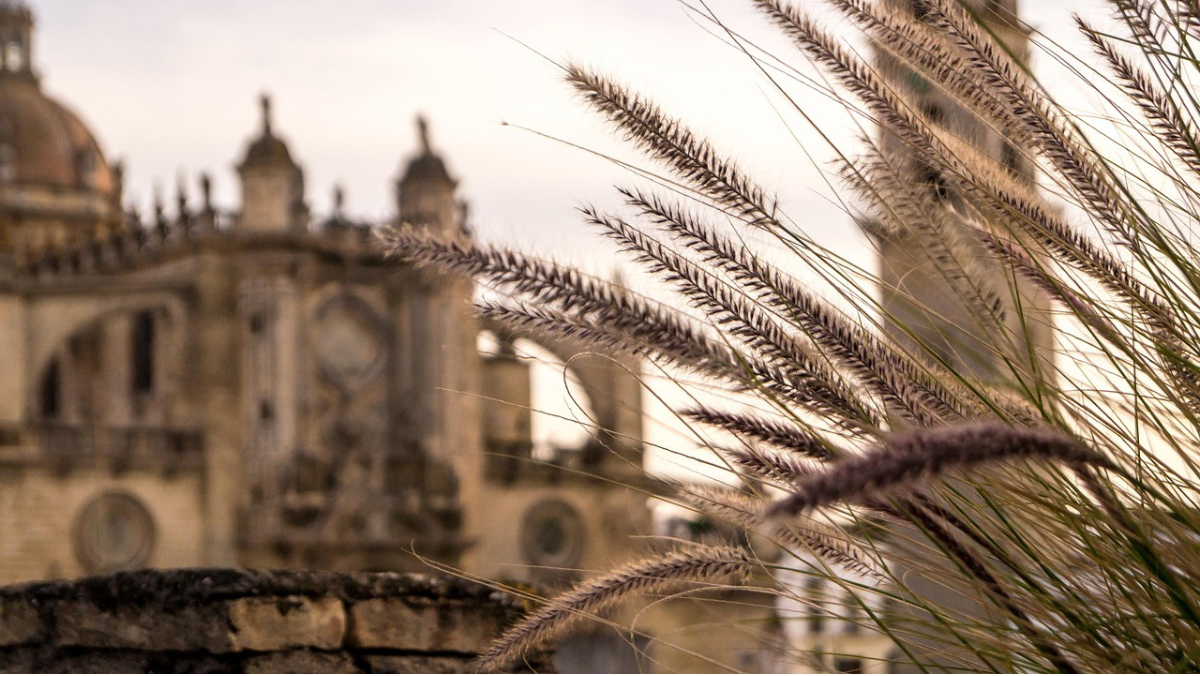 foto de la iglesia de jerez de la frontera
