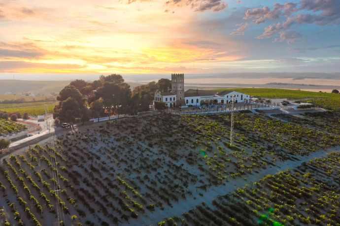 Bodega con denominación de origen en Jerez de la Frontera