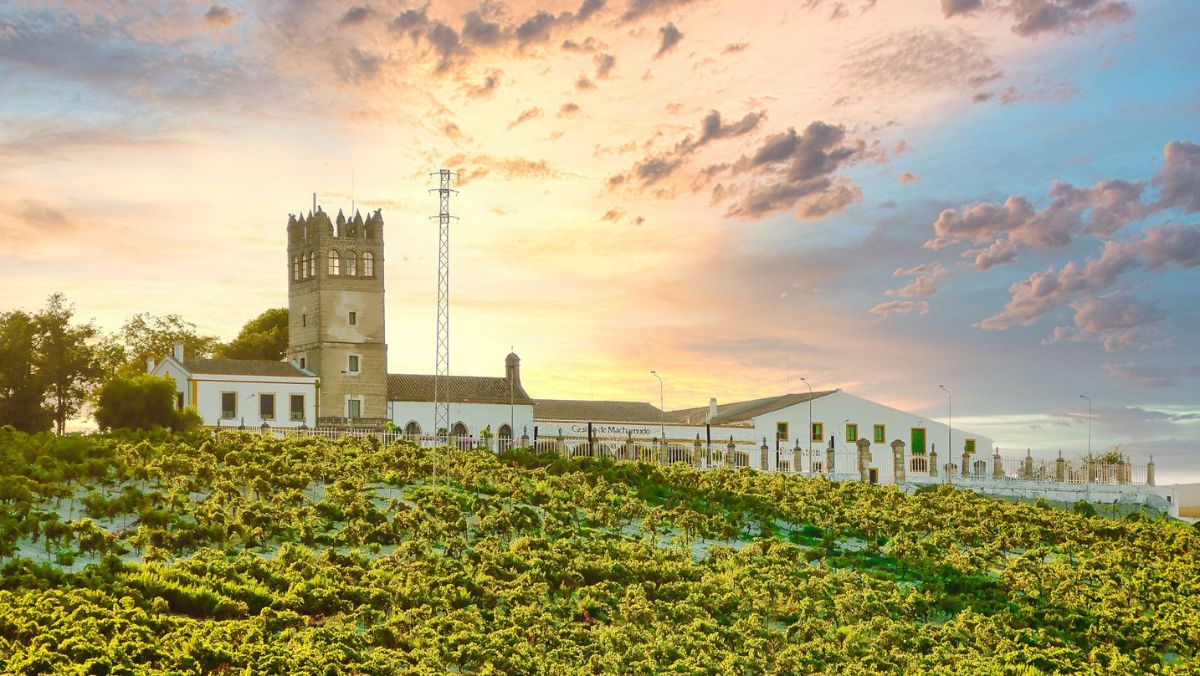 Qué es la denominación de origen