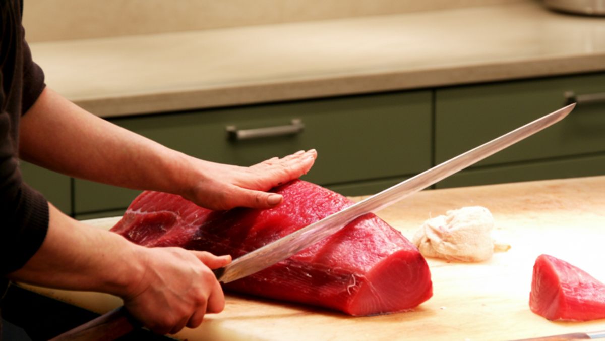 Ronqueo del atun en directo