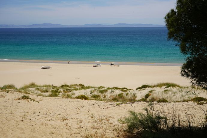 Playa virgen de Bolonia en Cádiz con dunas, arena blanca y la costa africana al fondo