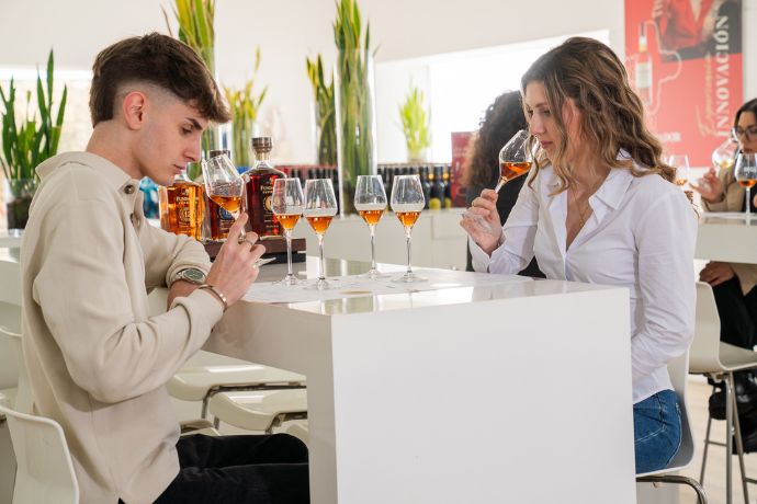 Pasos y fases de una cata de vinos y brandy en casa